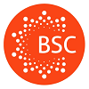 Logo BSC